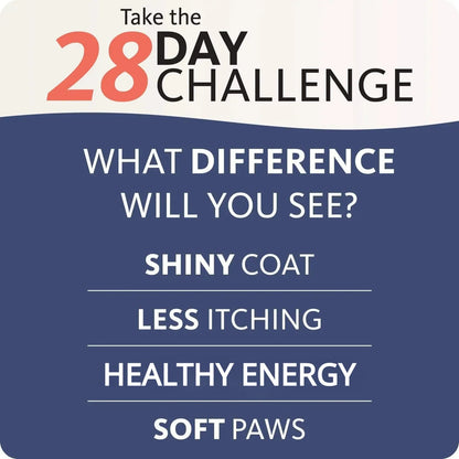 Aceite de salmón para mascotas (200 ml), 21 ácidos grasos omega, suplemento nutricional natural para perros y gatos.